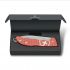 Victorinox Evoke Alox Limited Edition 2025